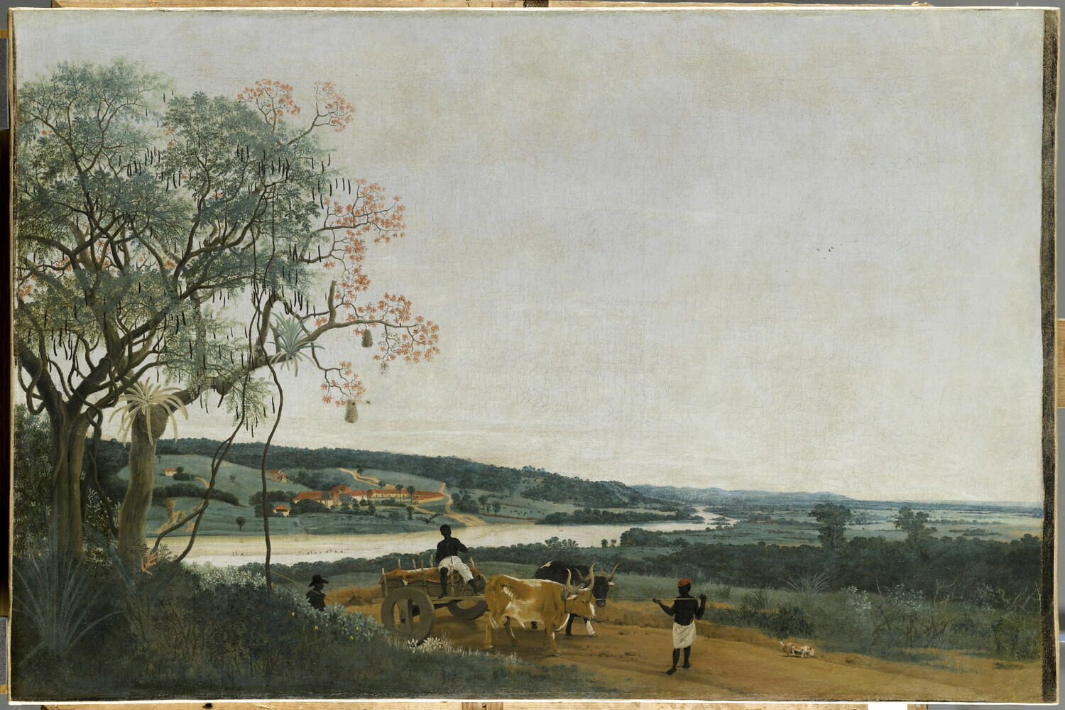 Le Char à boeuf. Paysage brésilien, Post, Frans, 2e quart du XVIIe siècle (1638)
