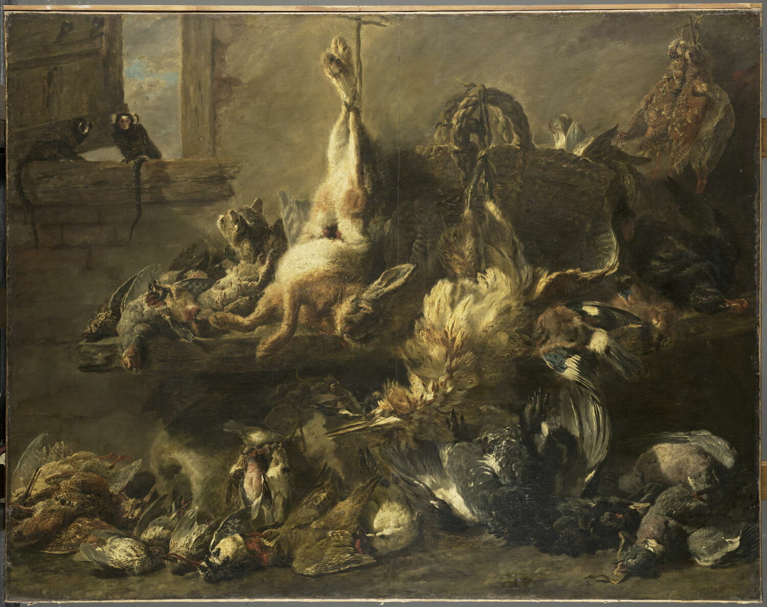Étalage de gibier mort dans un garde-manger avec un chat et deux singes, Ян Фейт, вторая четверть XVII века (1625–1650)
