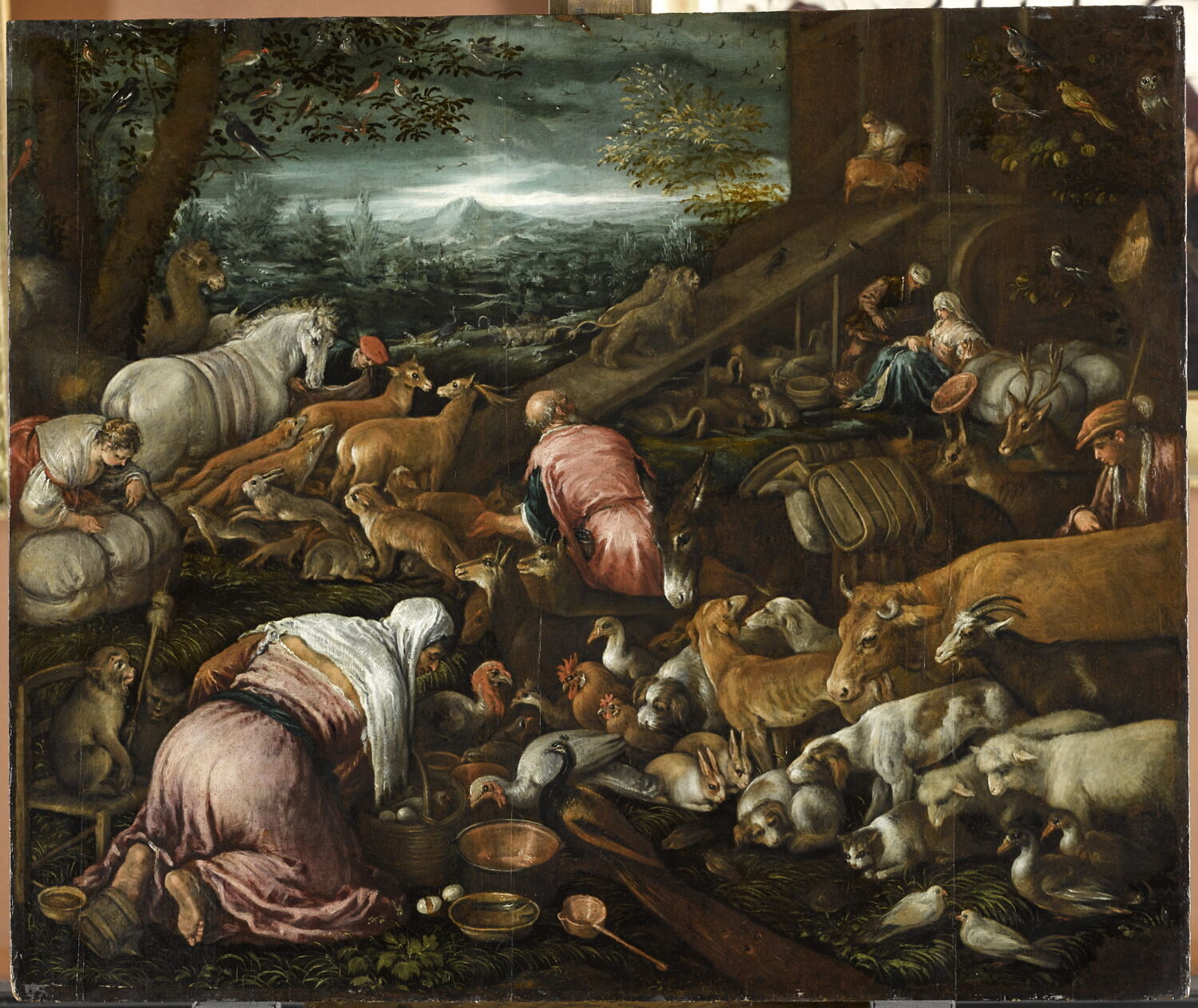 L Arche Des Animaux 89