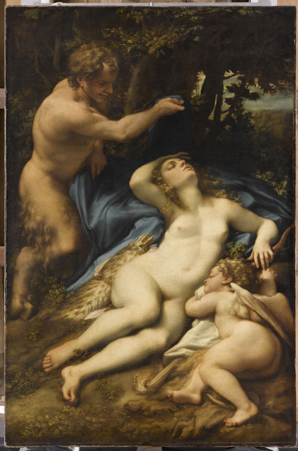 Vénus, Satyre et l'Amour endormi, Corrège, 1e tiers du XVIe siècle (vers 1524 - 1527)