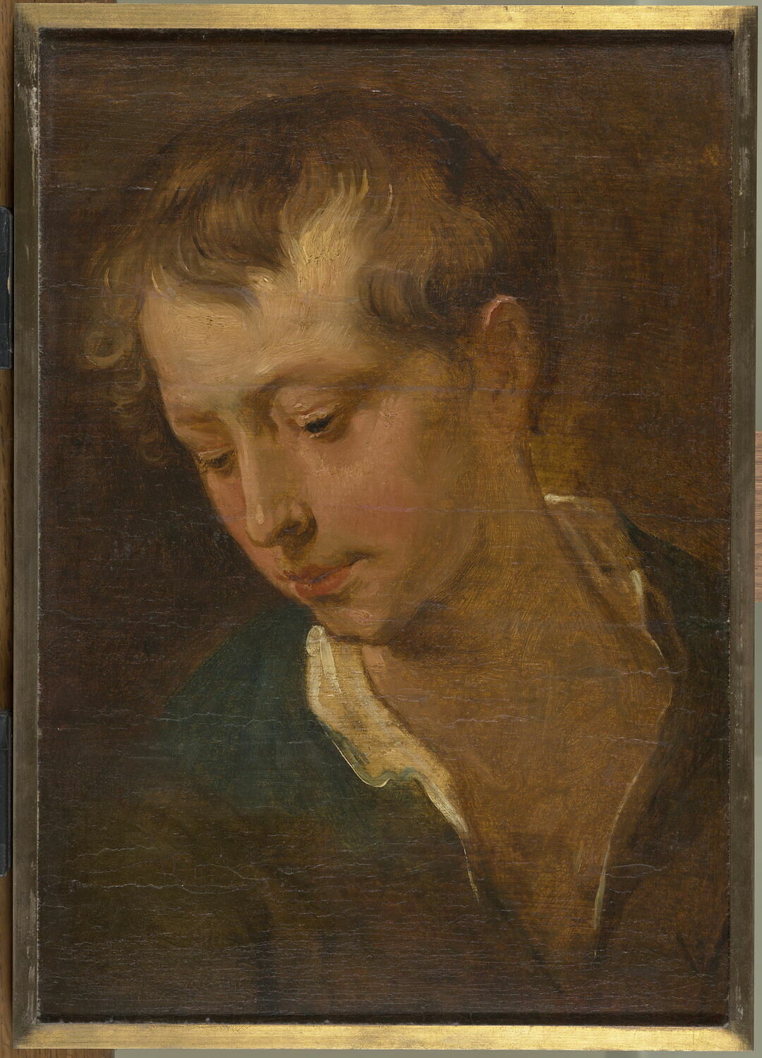 Tête de jeune homme, Dyck, Antoon van, XVIIe siècle (vers 1618)