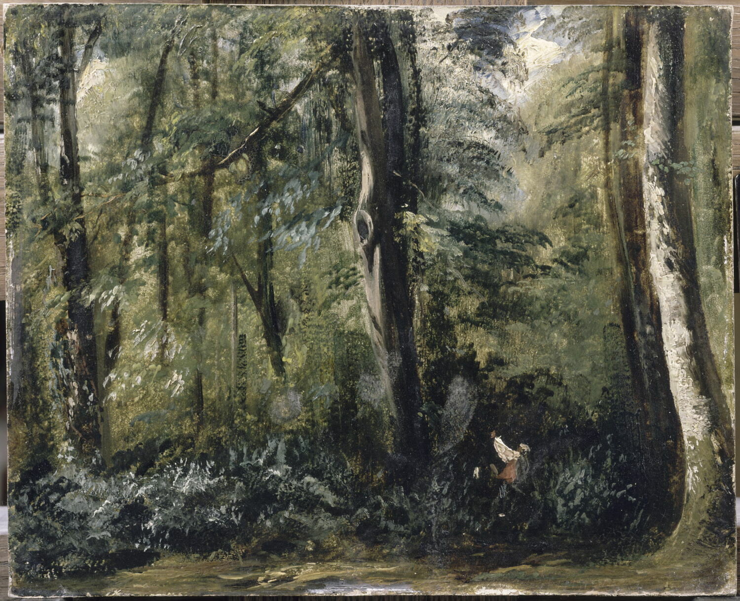 Intérieur de forêt (Compiègne) Étude., Huet, Paul, 2e quart du XIXe siècle (1861)