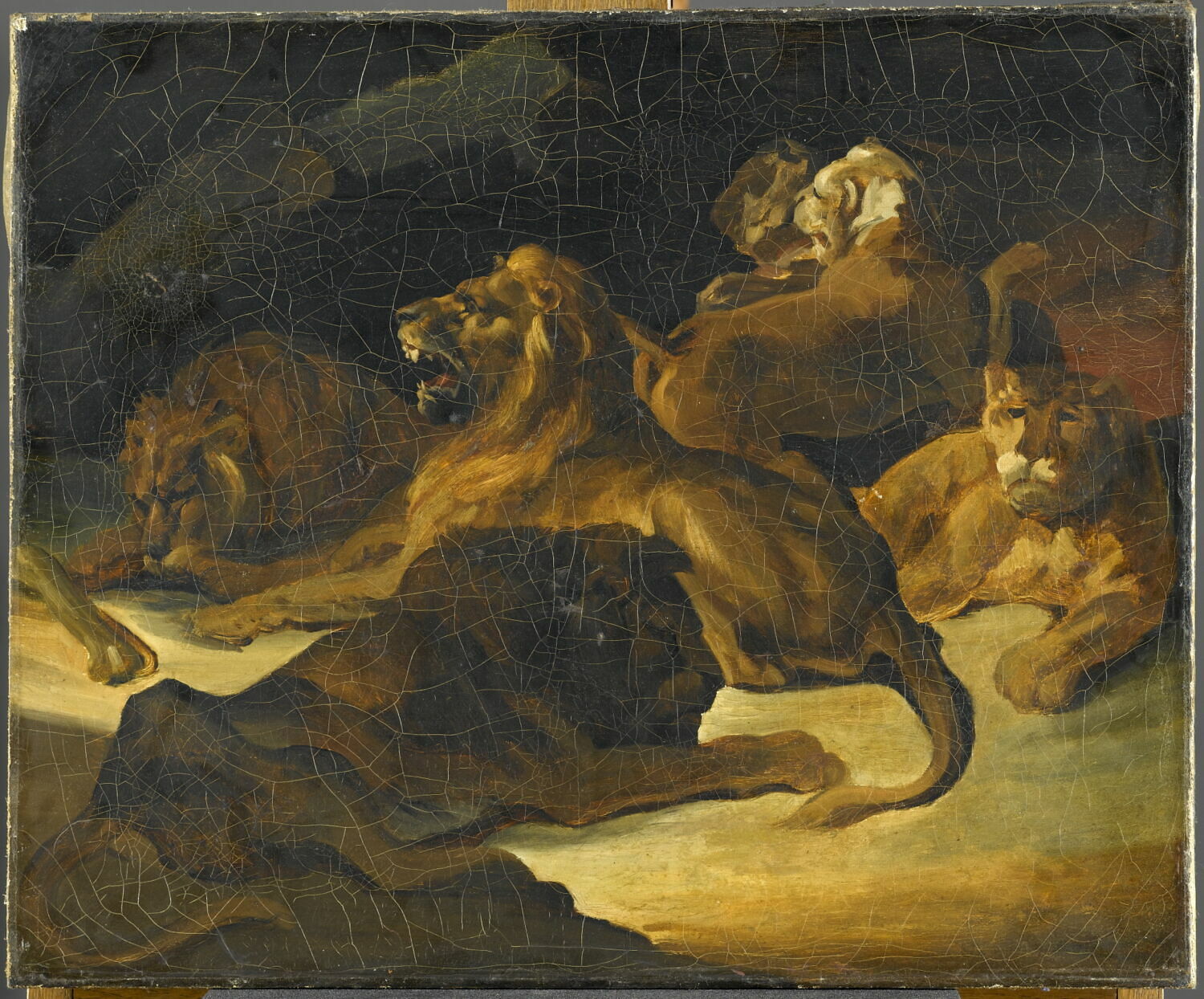 Lions couchés, Géricault, Théodore, 1e quart du XIXe siècle (1800 - 1825)