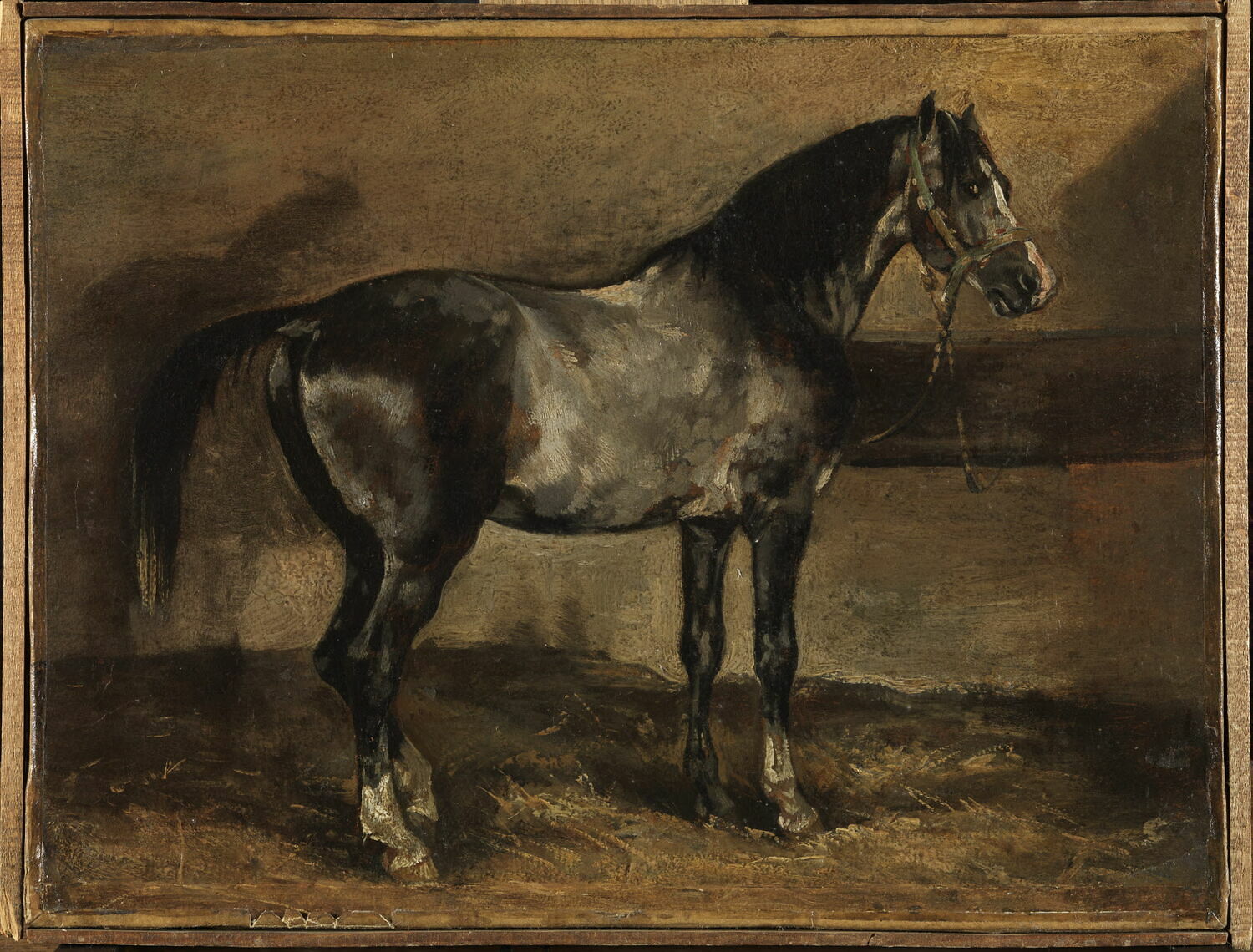 Cheval gris au râtelier, Géricault, Théodore, 1e quart du XIXe siècle (1800 - 1825)
