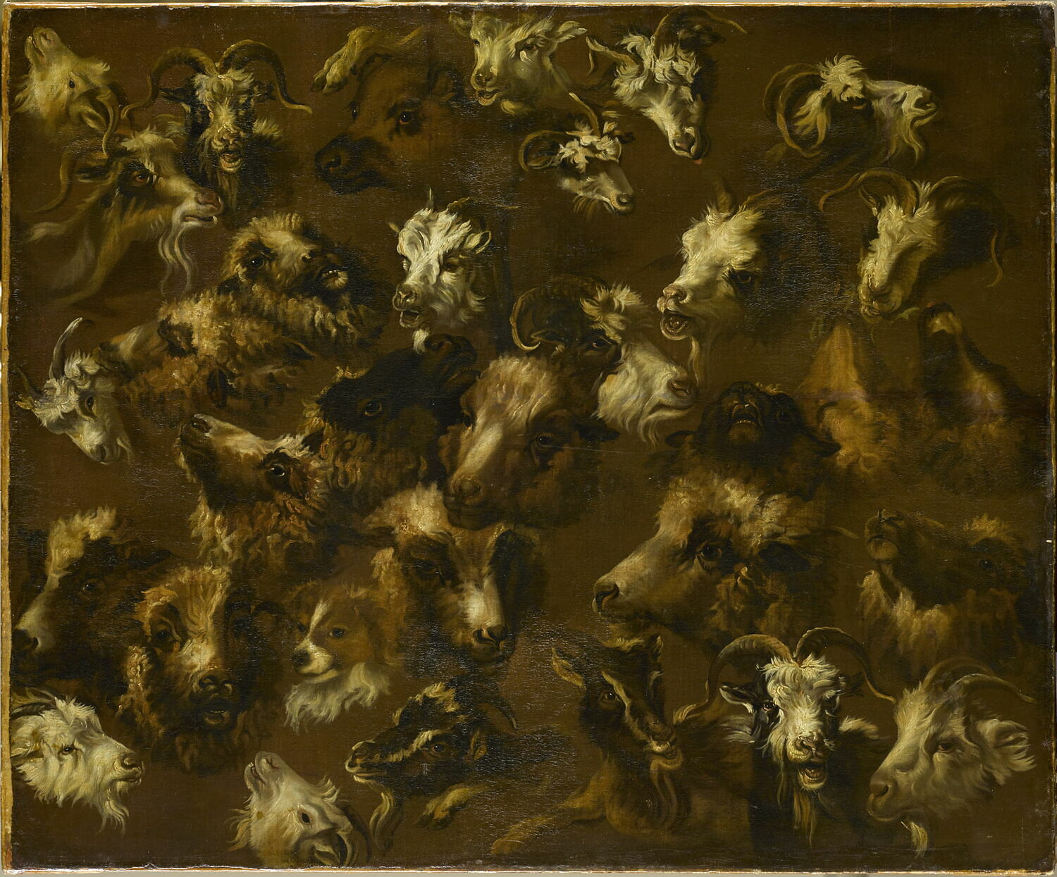 Têtes de moutons, brebis, béliers, chiens et chèvres, Londonio, Francesco, 3e quart du XVIIIe siècle (vers 1765)