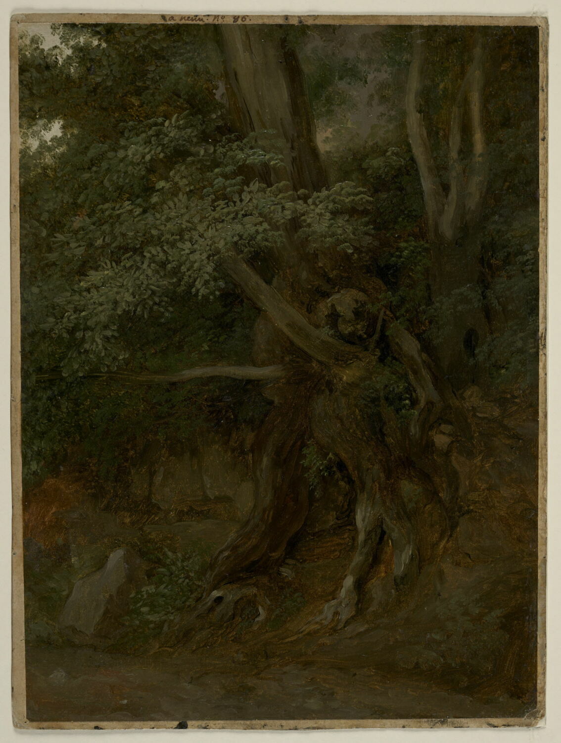 Nemi. Étude de troncs et racines, Valenciennes, Pierre de, 1e quart du XIXe siècle (1800 - 1825)