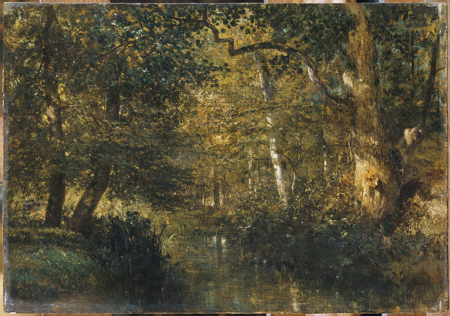 Cours d'eau sous bois, Troyon, Constant, 2e quart du XIXe siècle (1825 - 1850)
