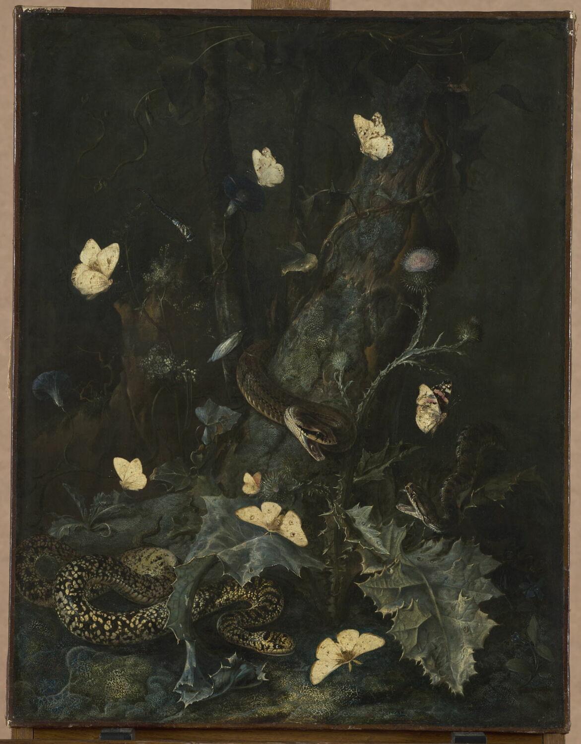 Serpents et papillons dans un sous-bois, Schrieck, Otto Marseus van, 4e quart du XVIIe siècle (1670)