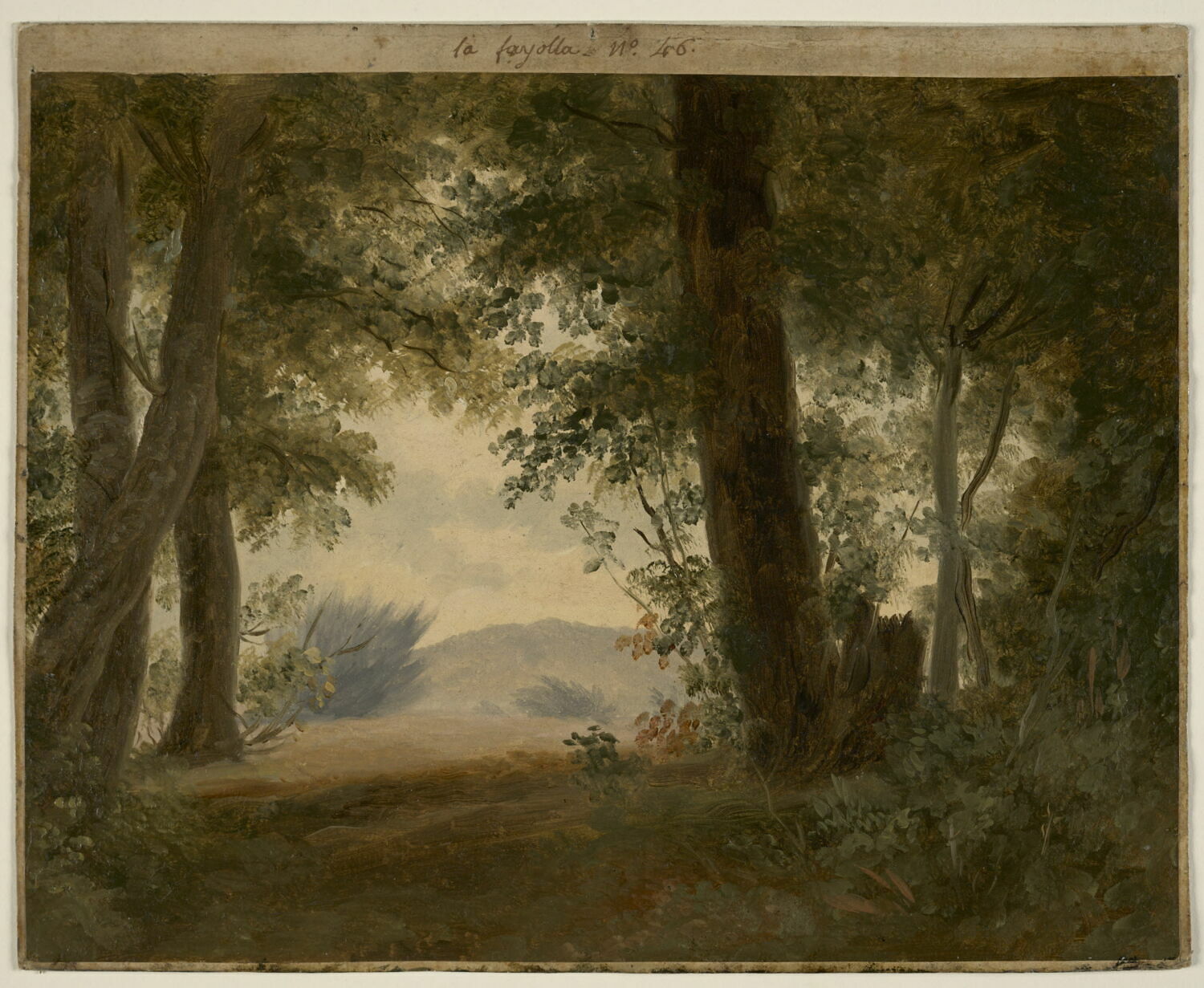À la Fayolle, près de Nemi : forêt et fonds, dit aussi: Clairière d'un sous-bois, Valenciennes, Pierre de, 4e quart du XVIIIe siècle (vers 1782 - 1784)