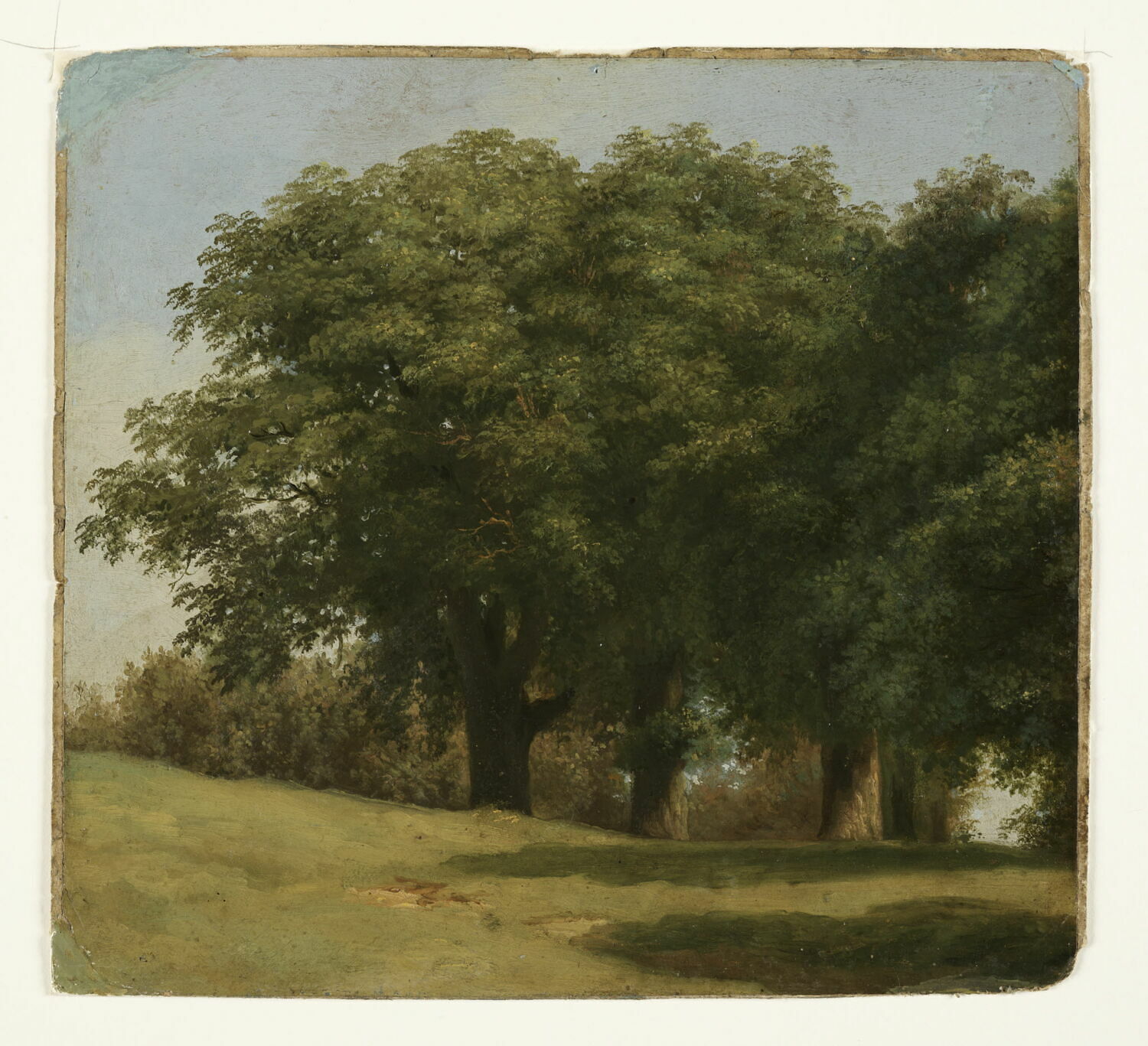 À la villa Borghèse: chemin bordé d'arbres, Valenciennes, Pierre de, 4e quart du XVIIIe siècle (1782 - 1784)
