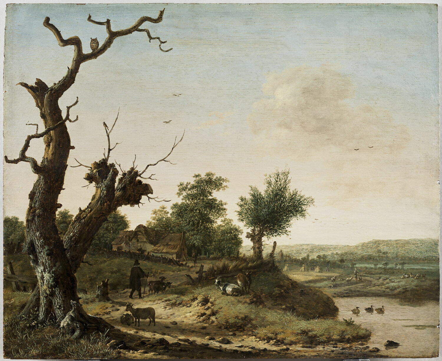 Paysage rustique. Arbres morts, chemin et mare, Wijntrack, Dirck, 3e quart du XVIIe siècle (après 1650 - 1660)