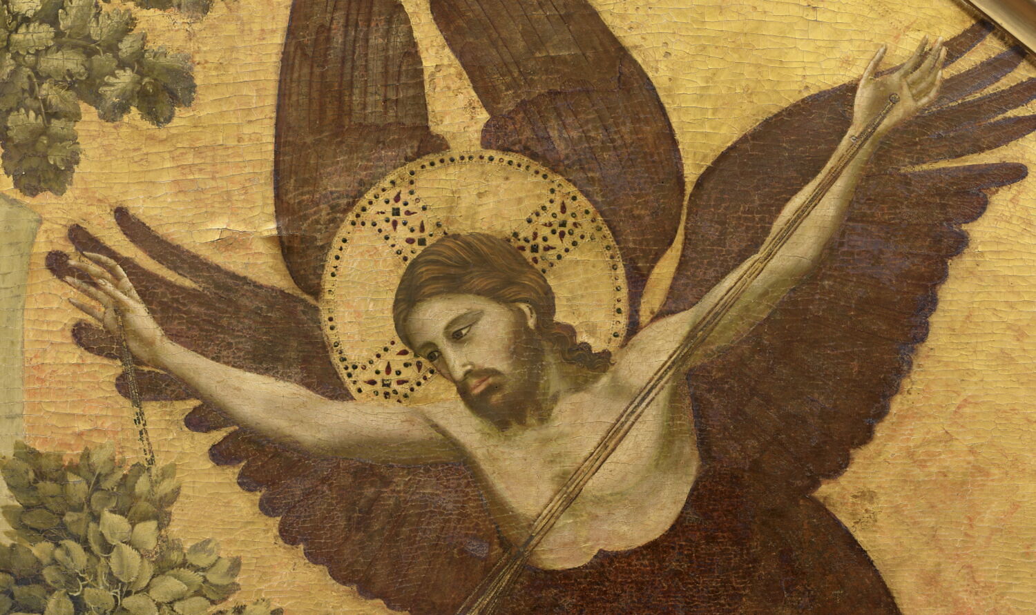 Saint François d'Assise recevant les stigmates Louvre Collections