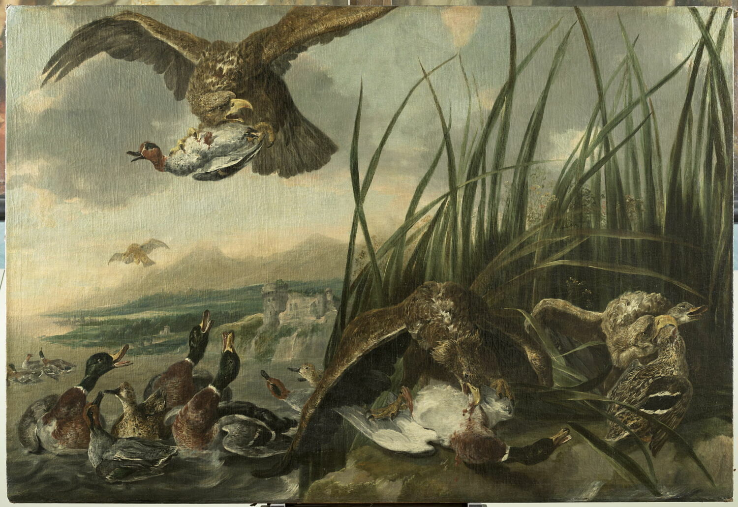 Aigles attaquant des canards, Ян Фейт, середина XVII века (1651)