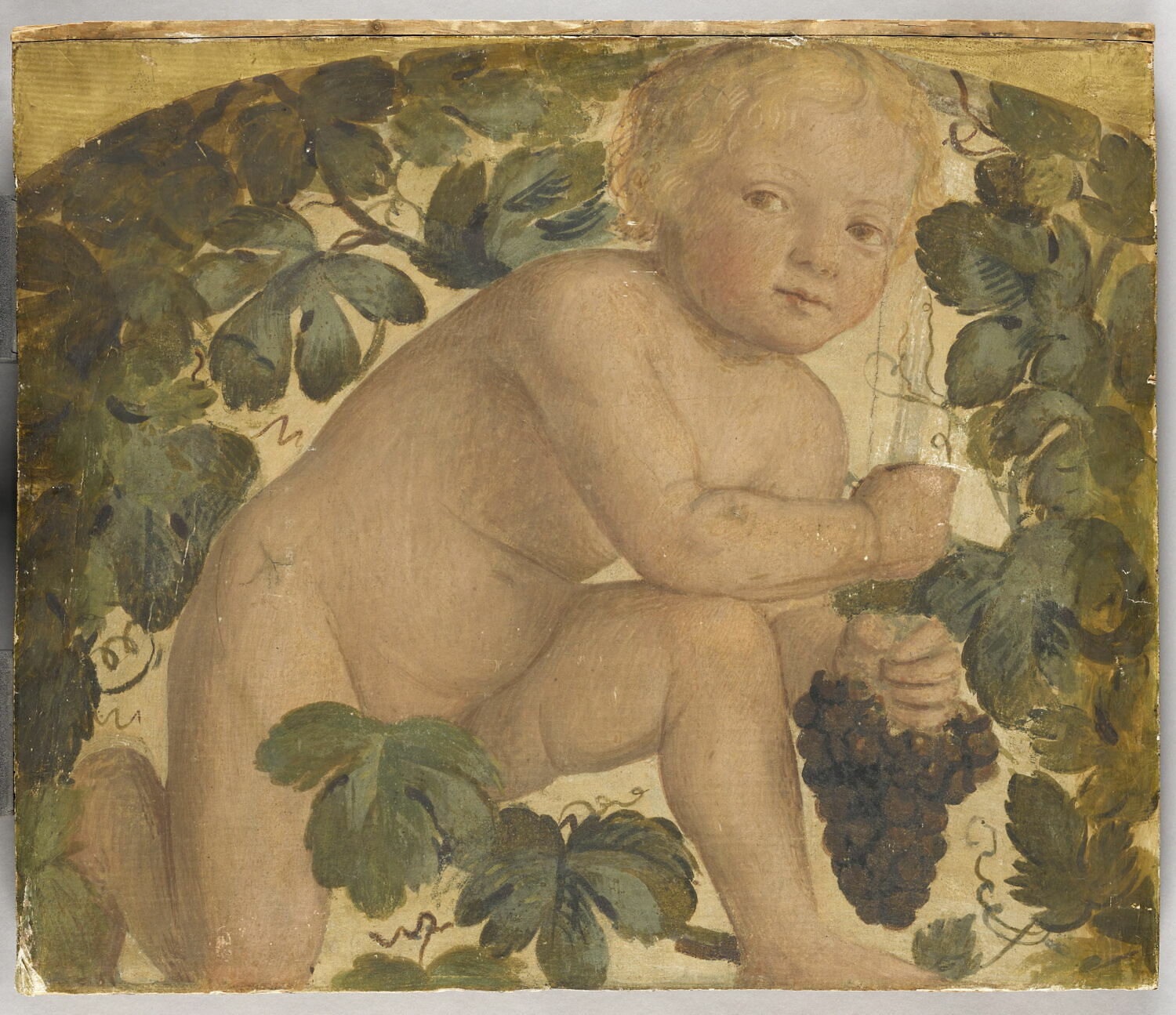 Enfant à genoux sur une treille, Luini, Bernardino, 1e quart du XVIe siècle (1521 - 1523)