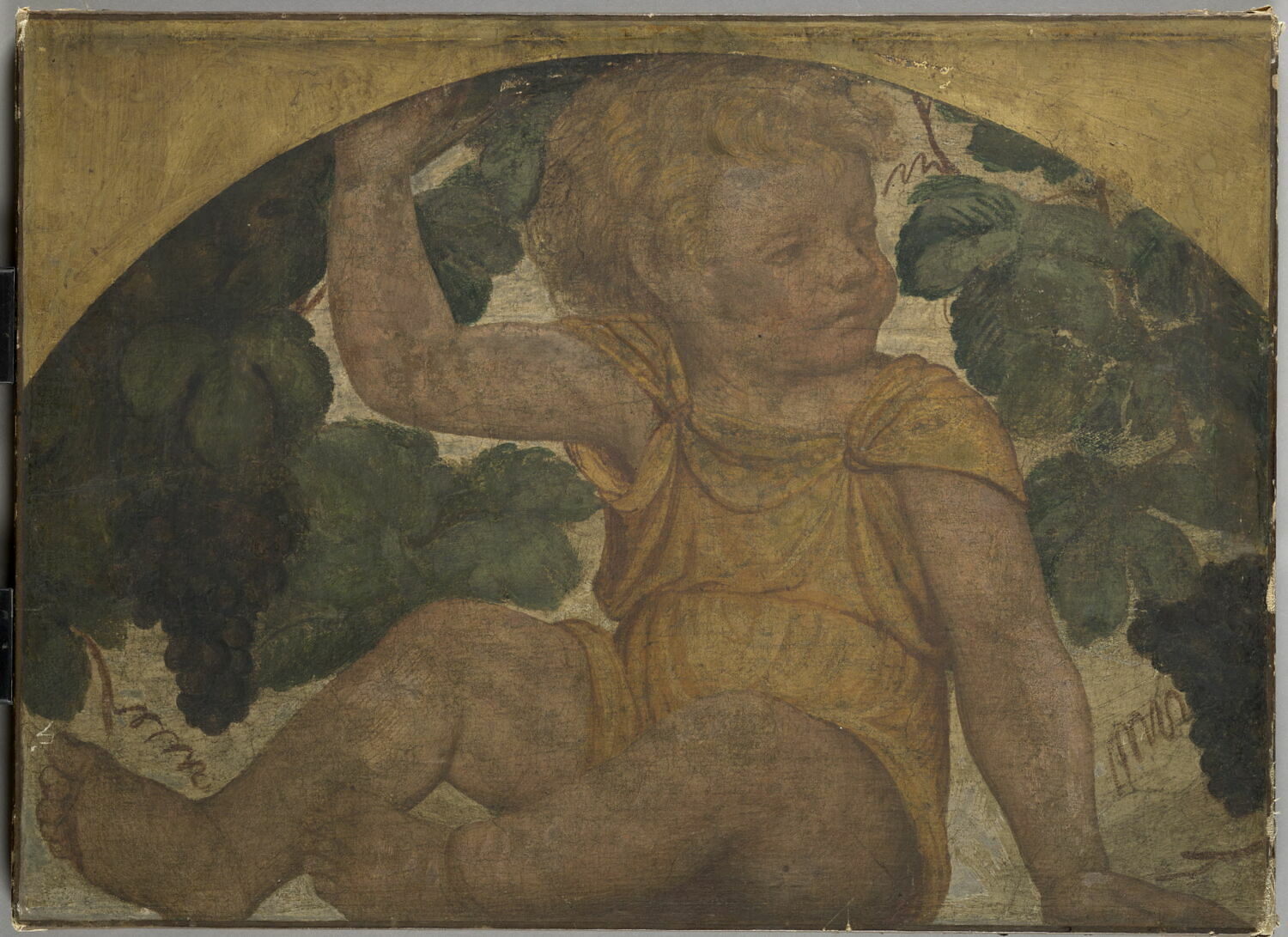 Enfant assis sous une treille, Luini, Bernardino, 1e quart du XVIe siècle (1521 - 1523)