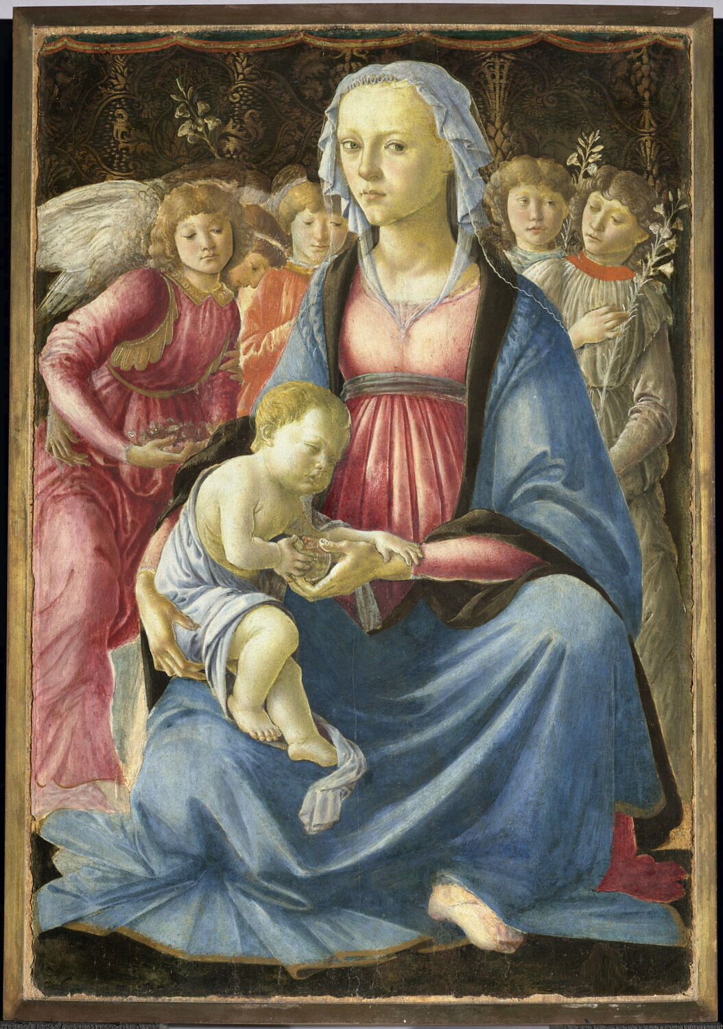 La Vierge et l'Enfant entourés de cinq anges, Botticelli, Sandro, 3e quart du XVe siècle (1450 - 1475)