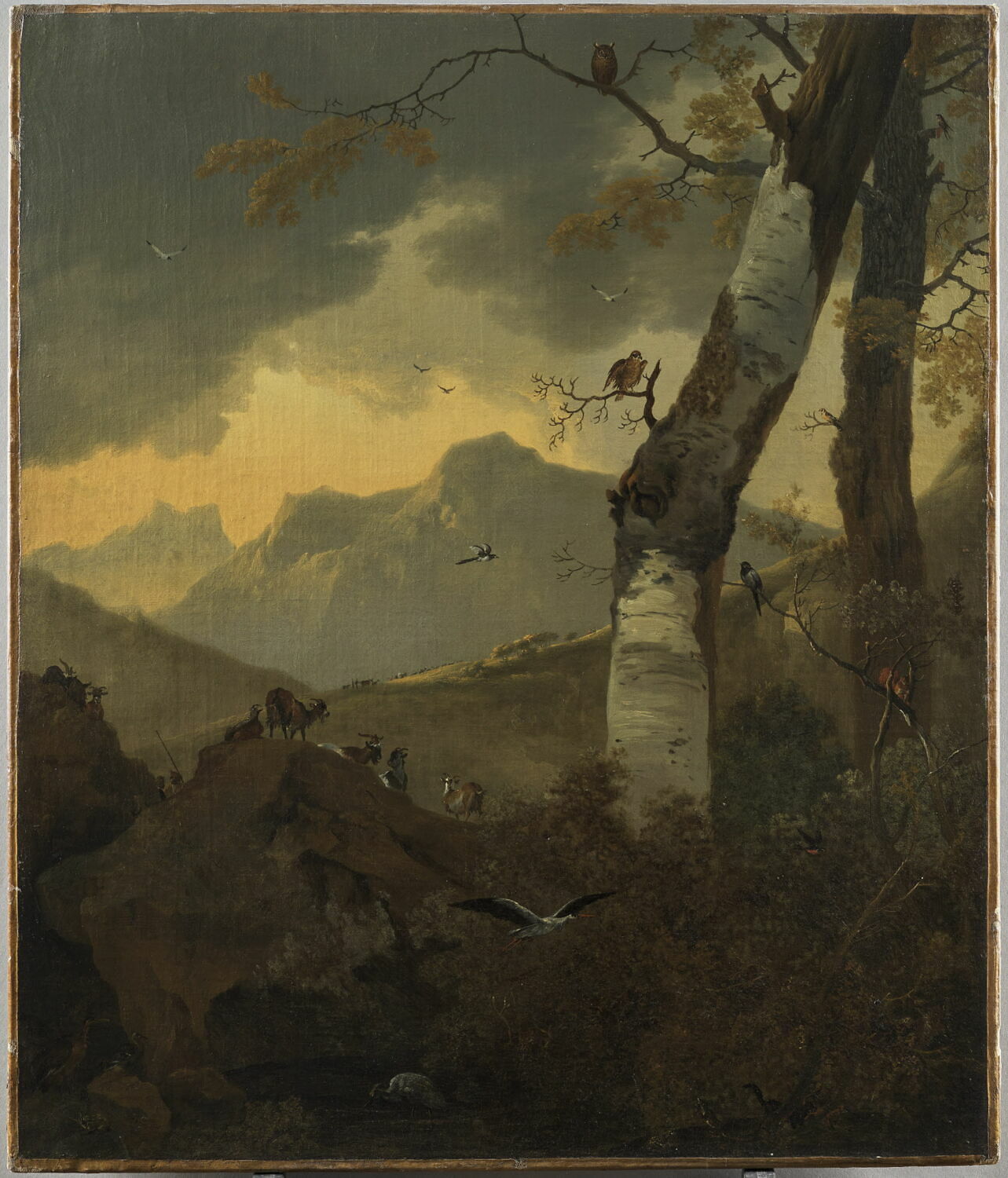 Paysage montagneux aux arbres et aux oiseaux, reptiles, batraciens et autres animaux, Pynacker, Adam, 2e quart du XVIIe siècle (1625 - 1650)