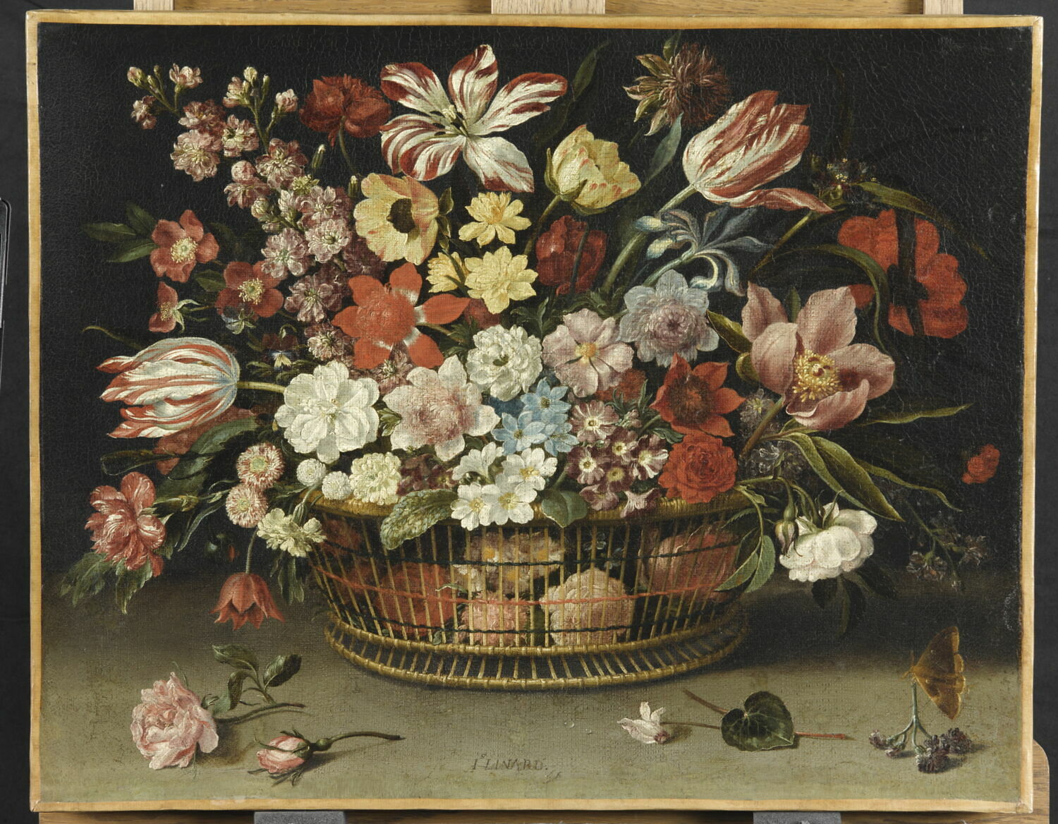 Corbeille de fleurs, Linard, Jacques, 1e quart du XVIIe siècle (vers 1627)