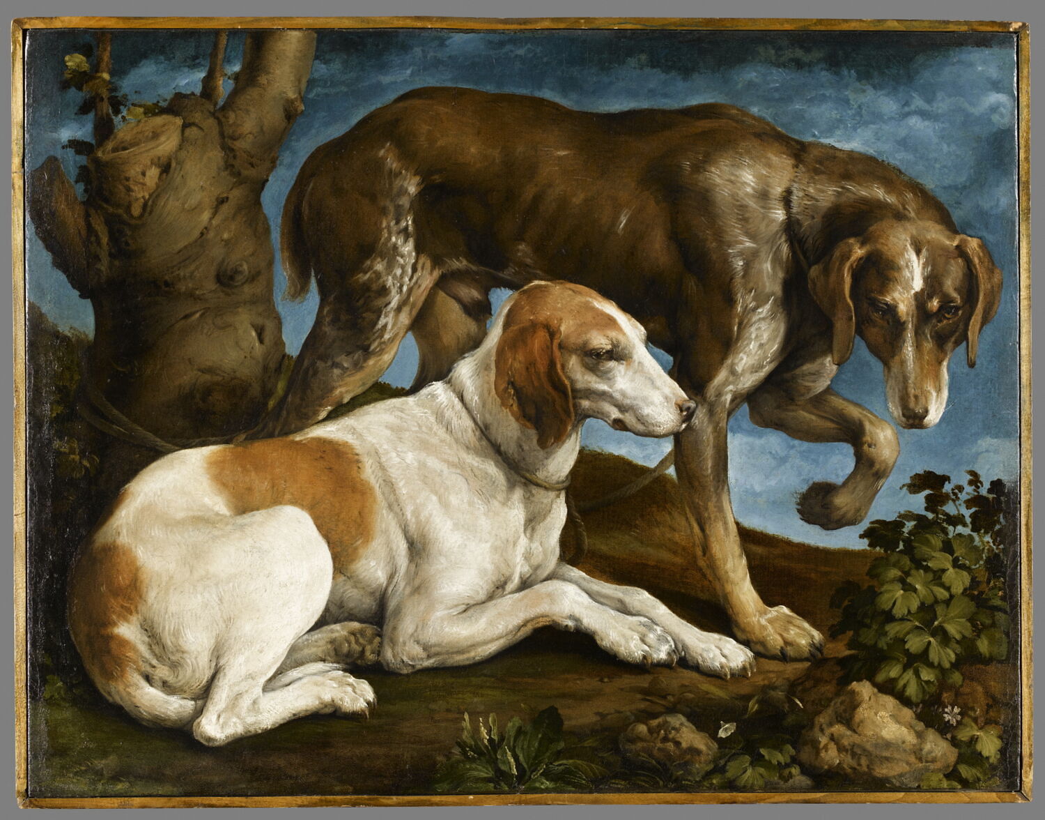 Deux chiens de chasse liés à une souche, Bassano, Jacopo, 4e quart du XVIe siècle (1575 - 1600)