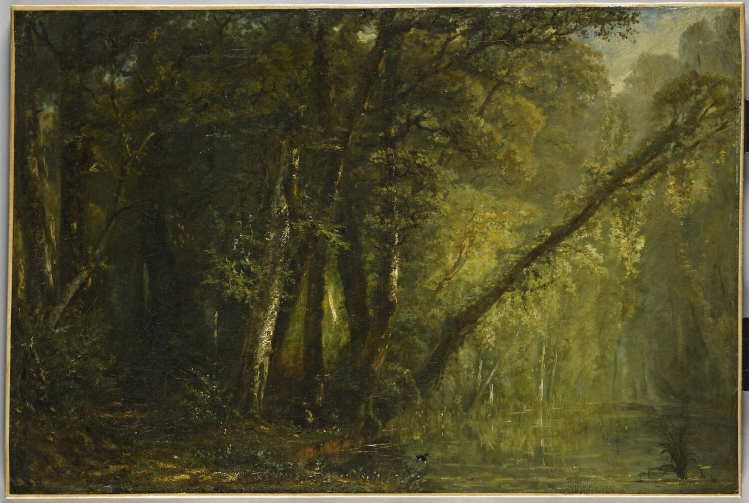 Calme du matin; intérieur de forêt, Huet, Paul, 2e quart du XIXe siècle (1825 - 1850)