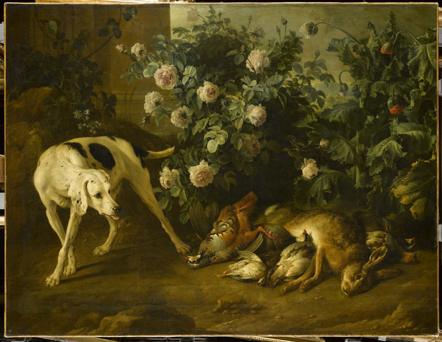 Chien gardant du gibier auprès d'un buisson de roses., Desportes, Alexandre-François, 1e quart du XVIIIe siècle (1724)