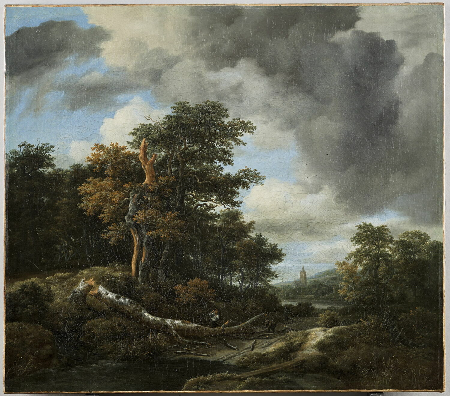 L'Entrée d'un bois, Ruisdael, Jacob Isaacksz van, 3e quart du XVIIe siècle (1660 - 1670)