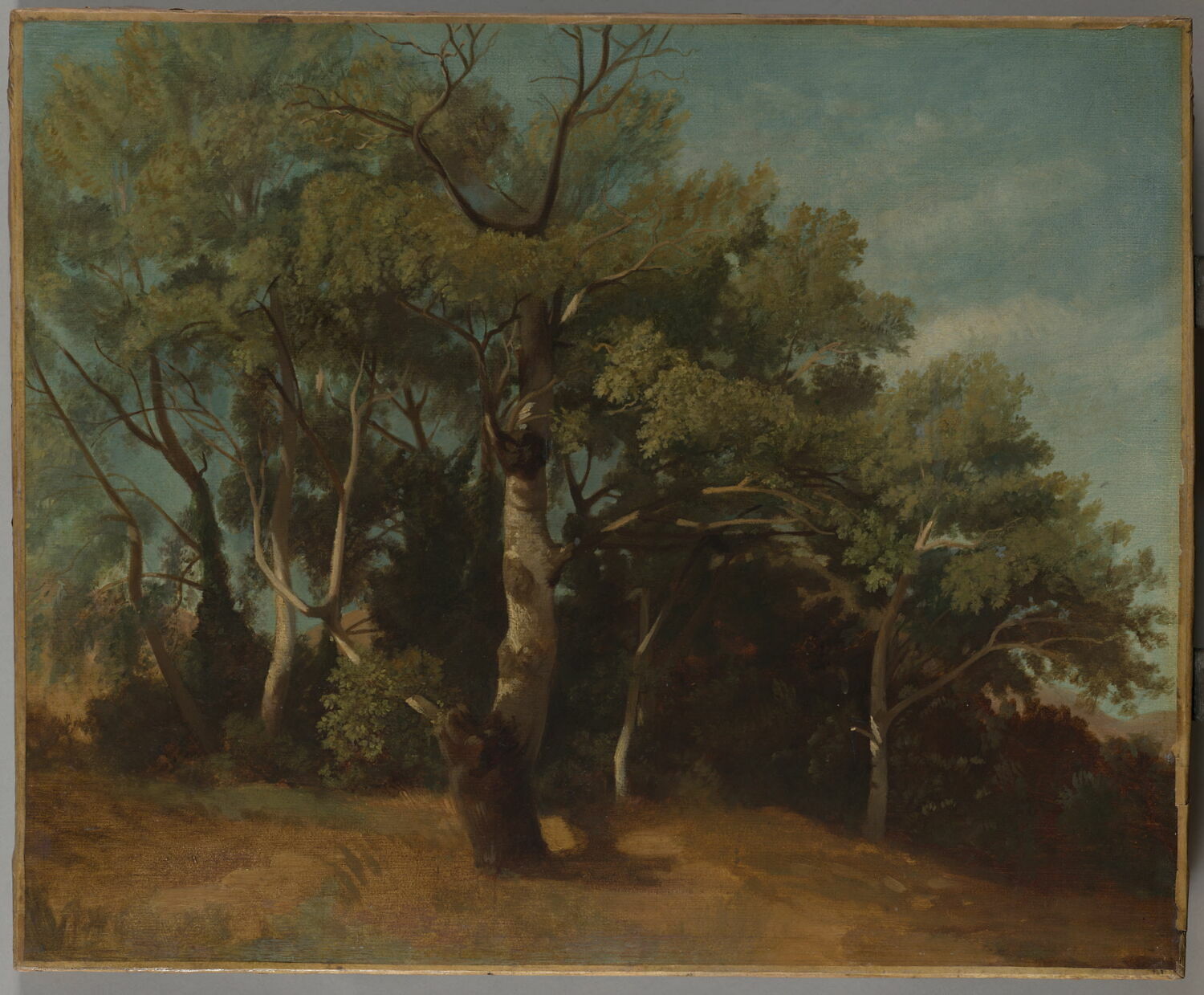 Bosquet, Anonyme, 3e quart du XIXe siècle (1850 - 1875)