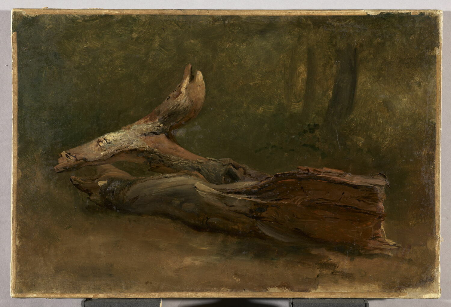 Étude d'arbre couché, Michallon, Achille Etna, 1e quart du XIXe siècle (1800 - 1825)