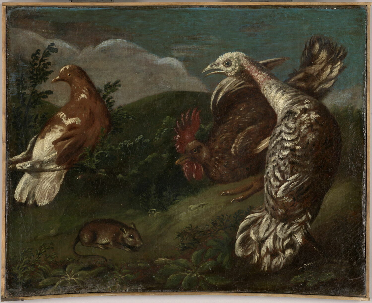 Animaux de basse-cour, Anonyme, XVIIe siècle (1600 - 1700)