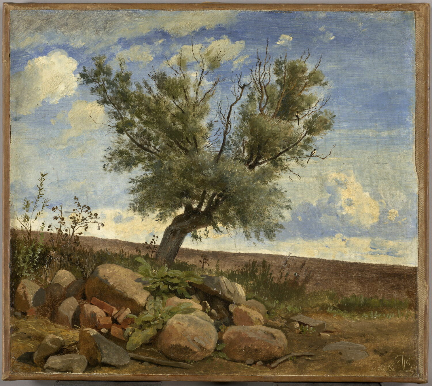 Vue prise à Vallekilde (Danemark).Saule sur un amoncellement de pierres, Lundbye, Johann Thomas, 2e tiers du XIXe siècle (1846)