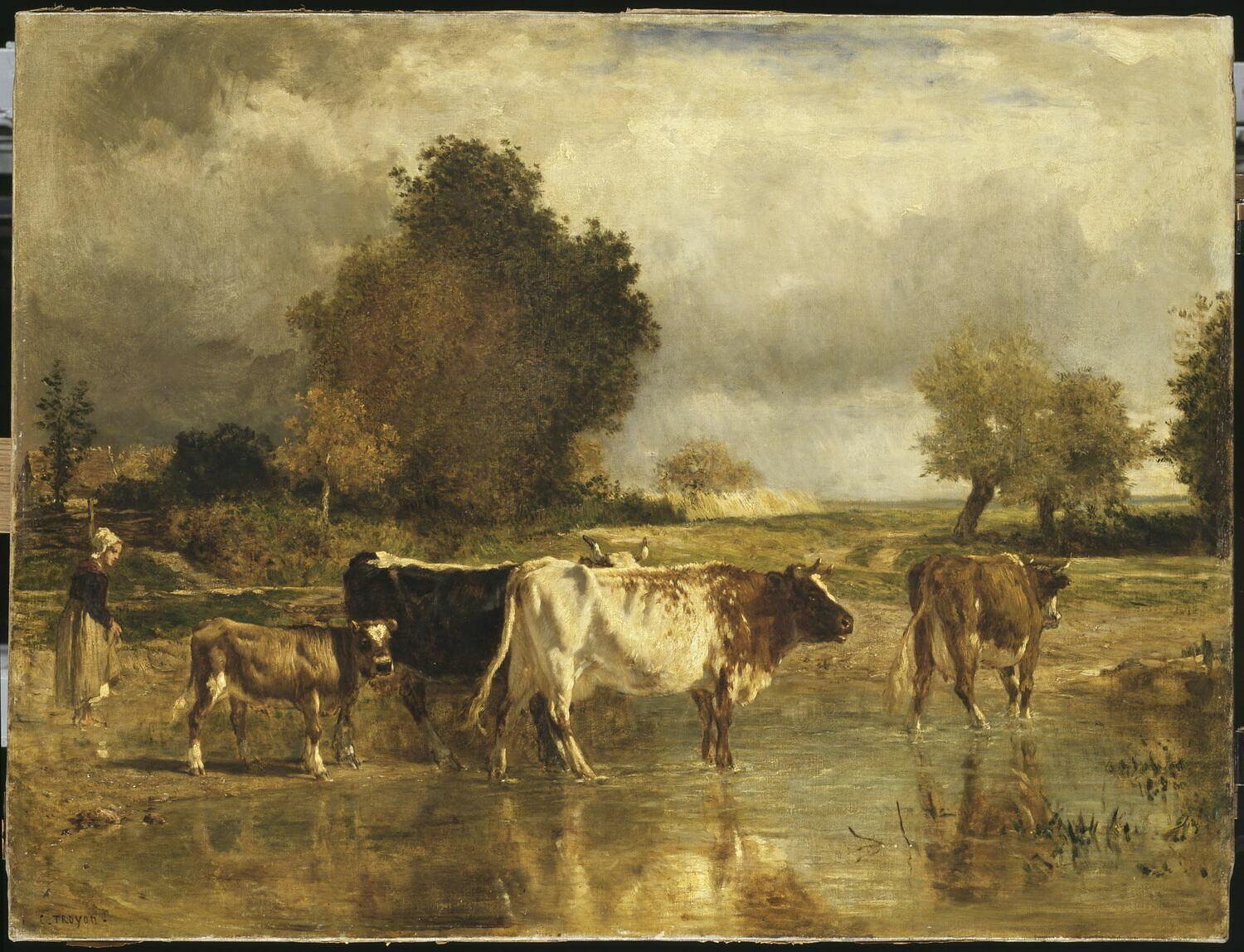 Vaches et veau à la mare, Troyon, Constant, 2e quart du XIXe siècle (1825 - 1850)