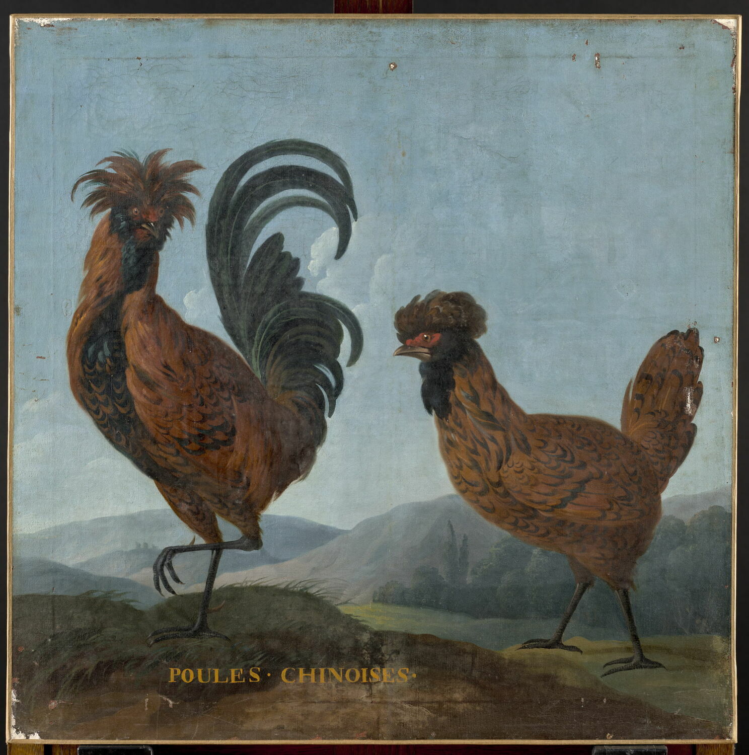 Poules chinoises, Anonyme, XVIIe siècle (1600 - 1700)