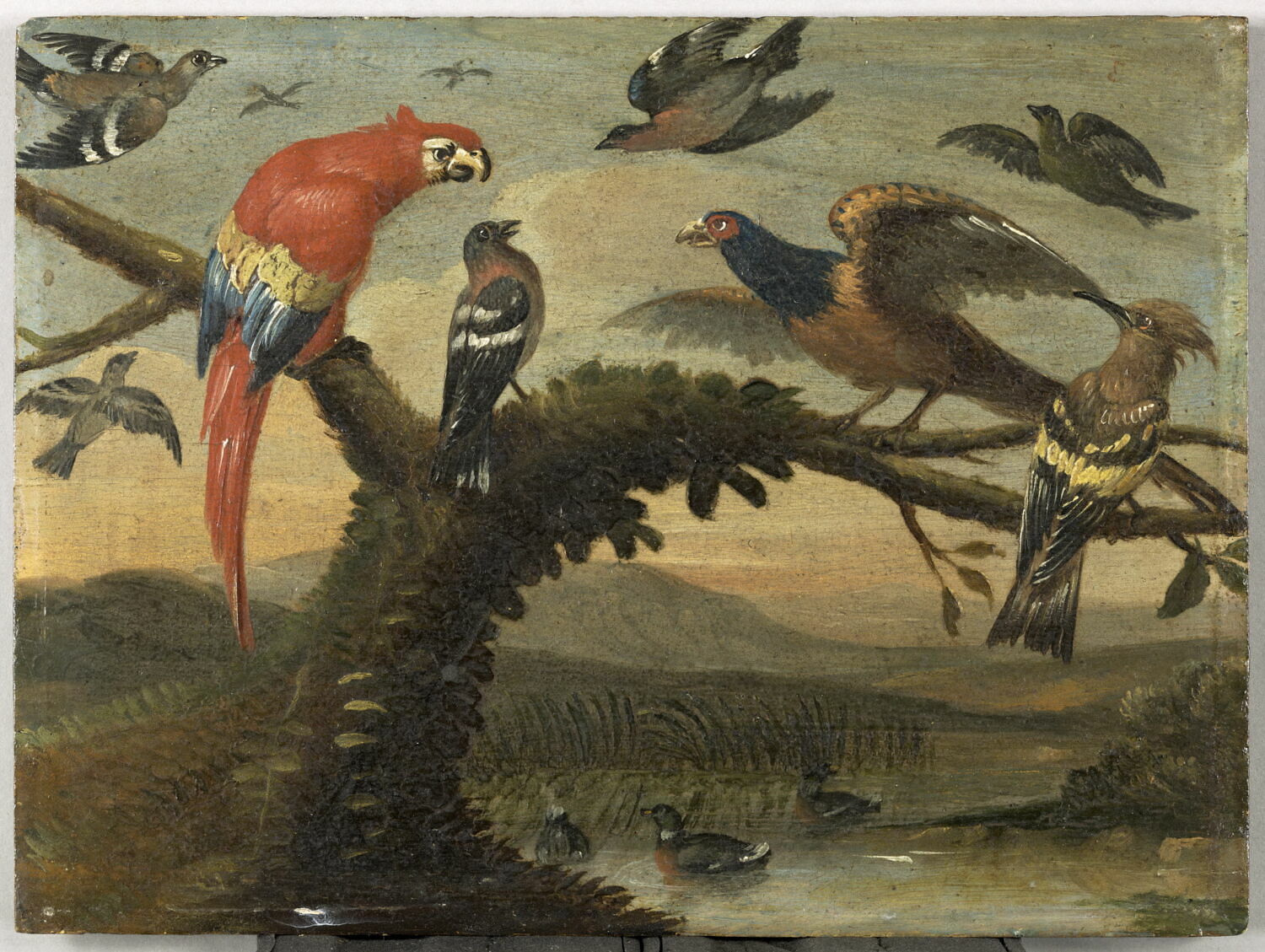 Oiseaux, Anonyme, Fin du XVIIe siècle (vers 1680)