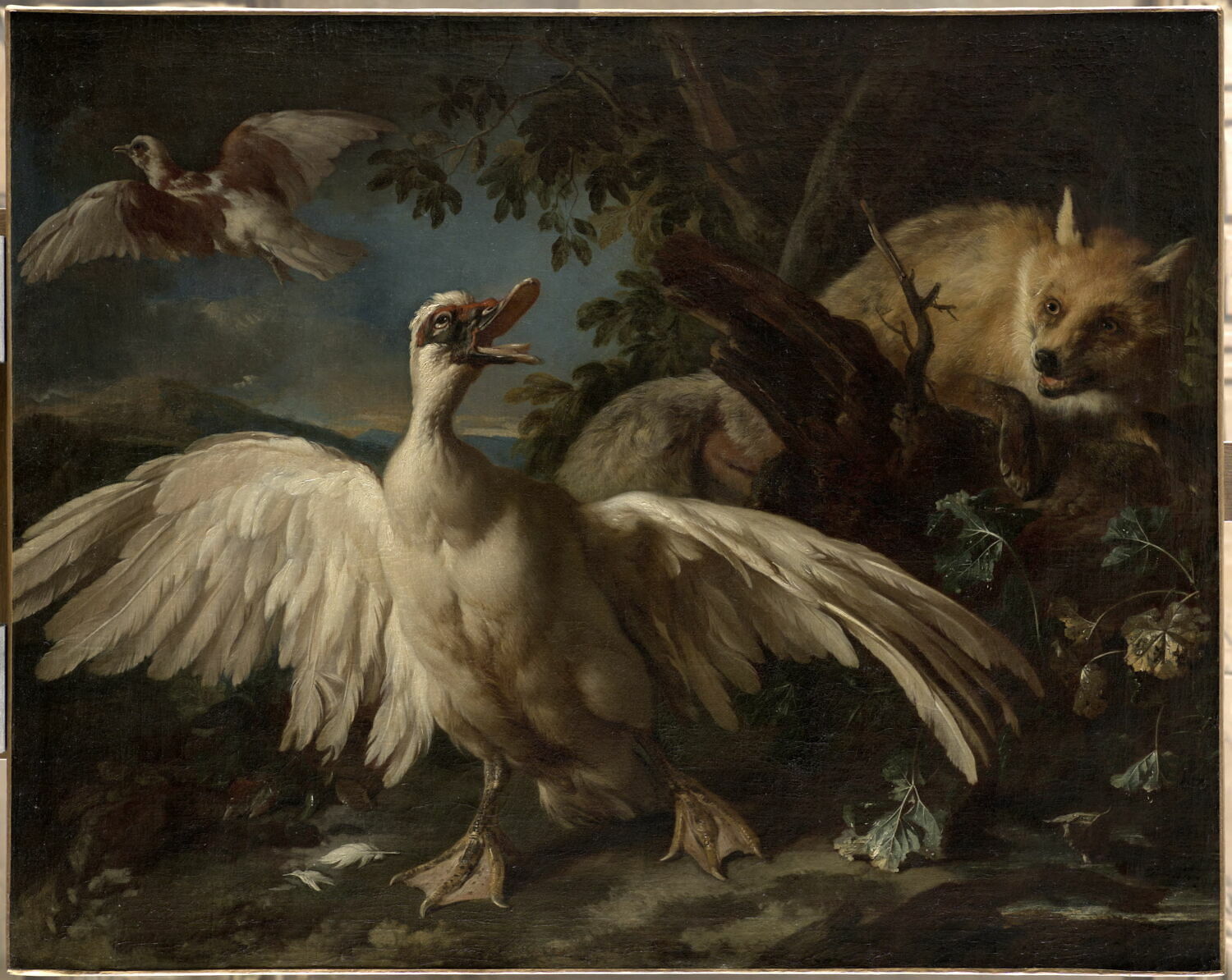 Canard de Barbarie et renard, Tamm, Franz Werner, XVIIe siècle (1600 - 1700)