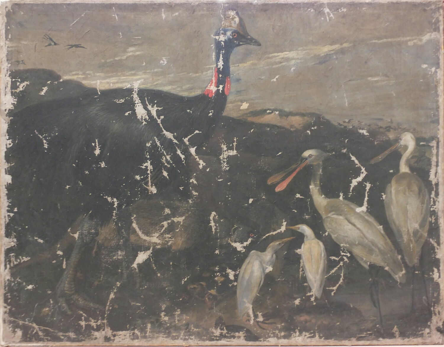 Casoar et oiseaux échassiers, Boel, Pieter