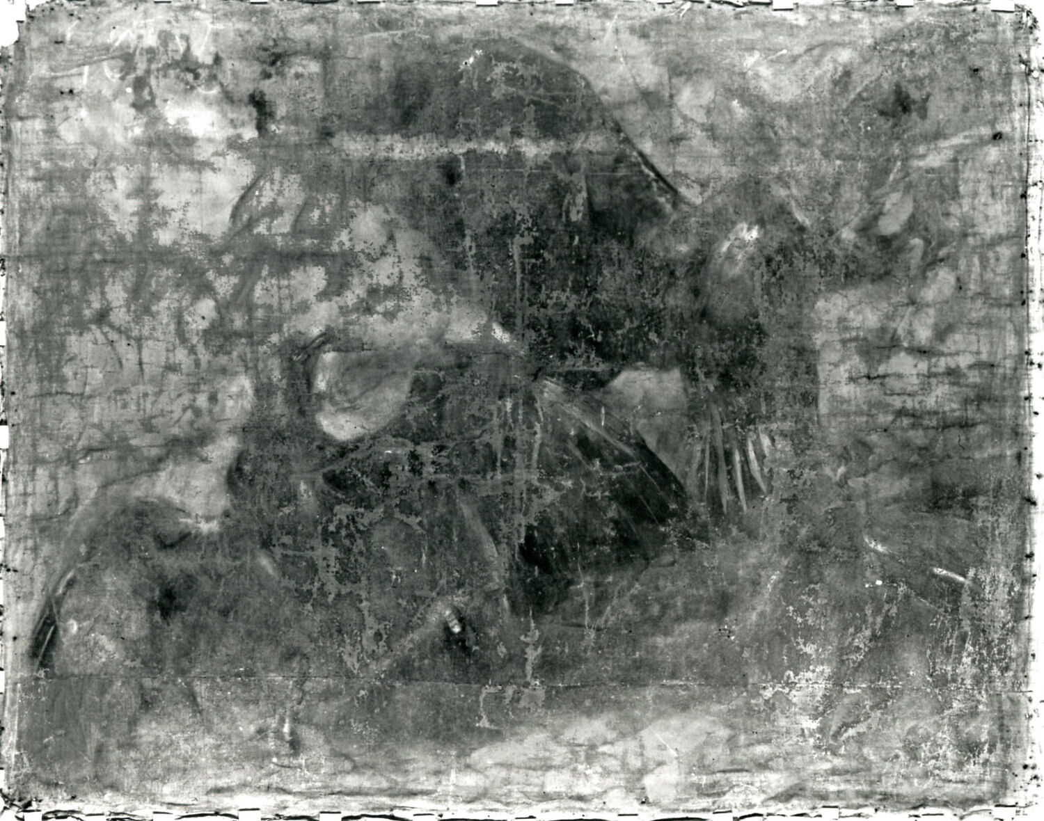 Deux aigles, étude. Tableau ruiné., Boel, Pieter, Milieu du XVIIe siècle (1640 - 1660)