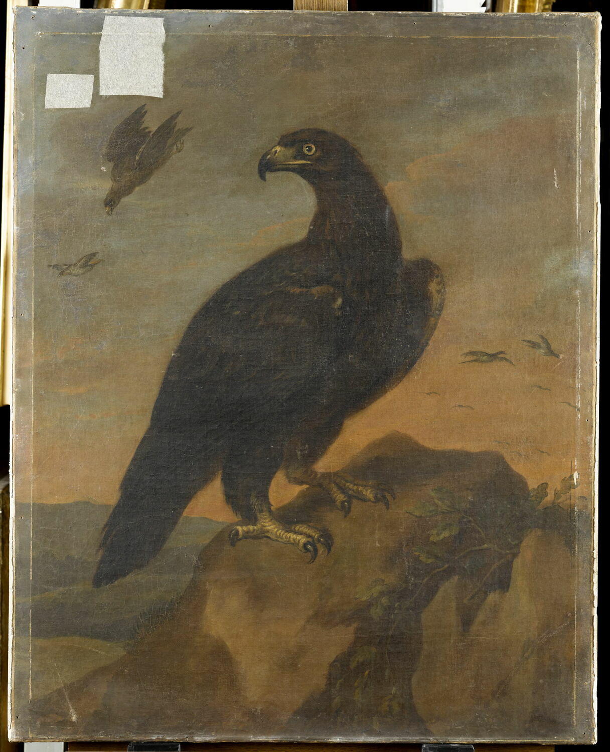 Aigle sur un rocher, Bernaerts, Nicasius, XVIIe siècle (1600 - 1700)