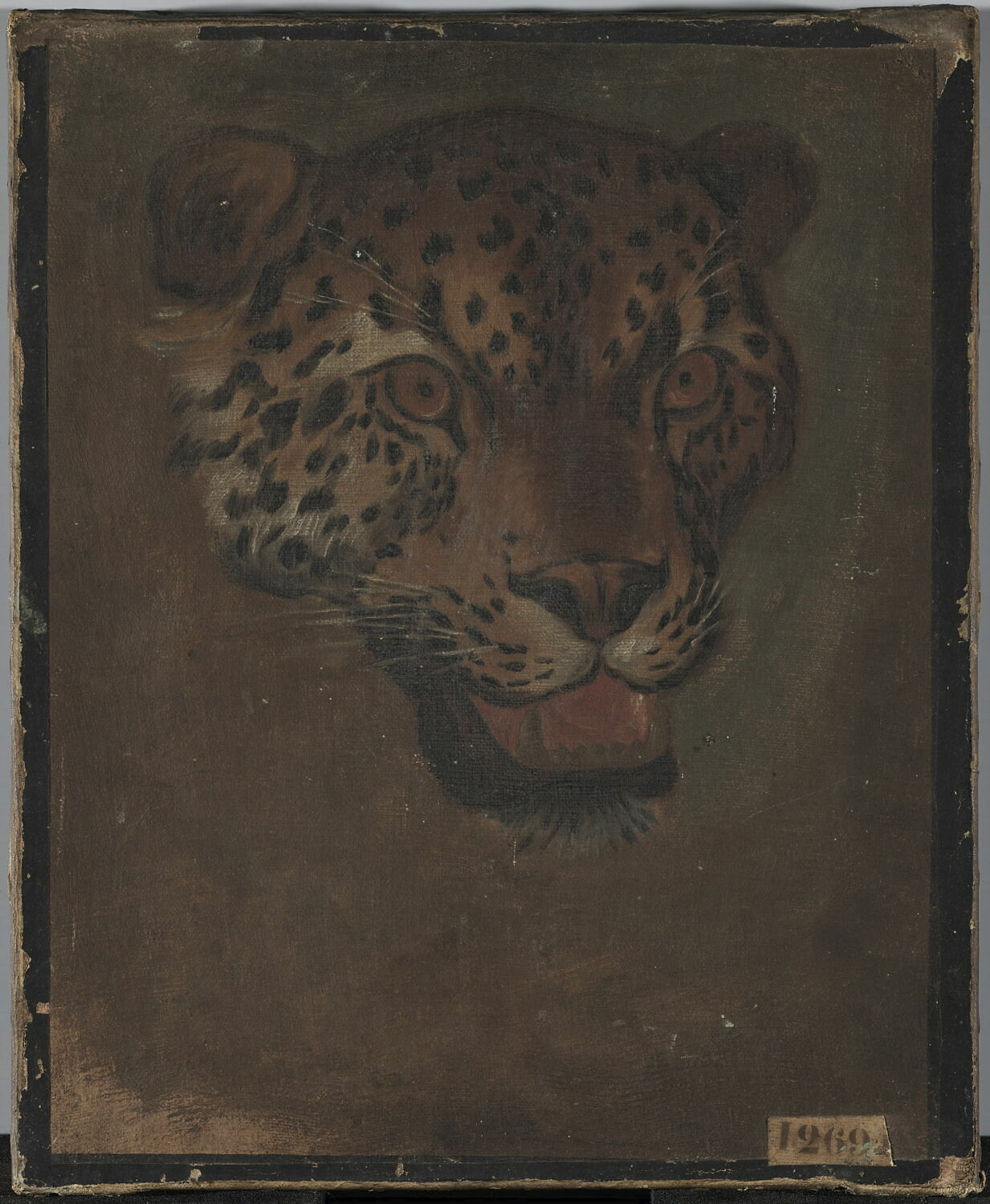 Étude d'une tête de panthère vue de face, Boel, Pieter, XVIIe siècle (1600 - 1700)
