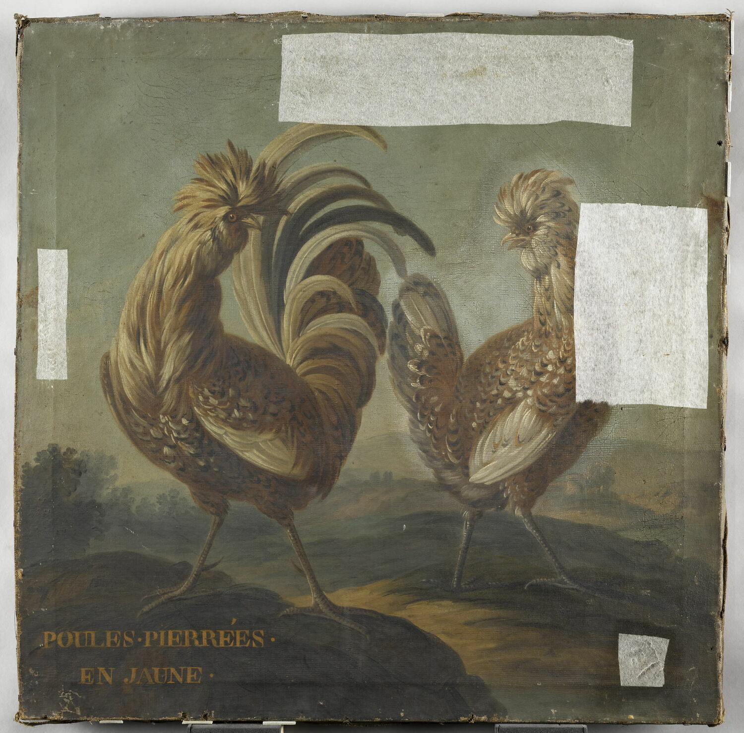 Poules pierrées en jaune, Anonyme, XVIIe siècle (1600 - 1700)