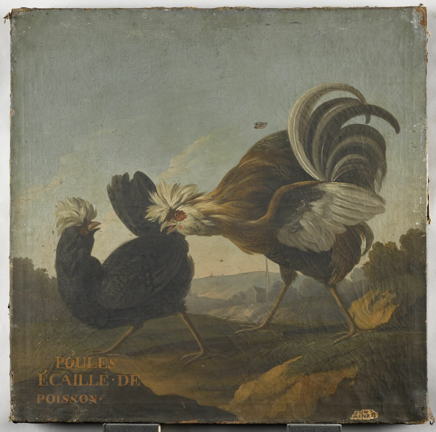 Poules écaille de poisson, Anonyme, XVIIe siècle (1600 - 1700)