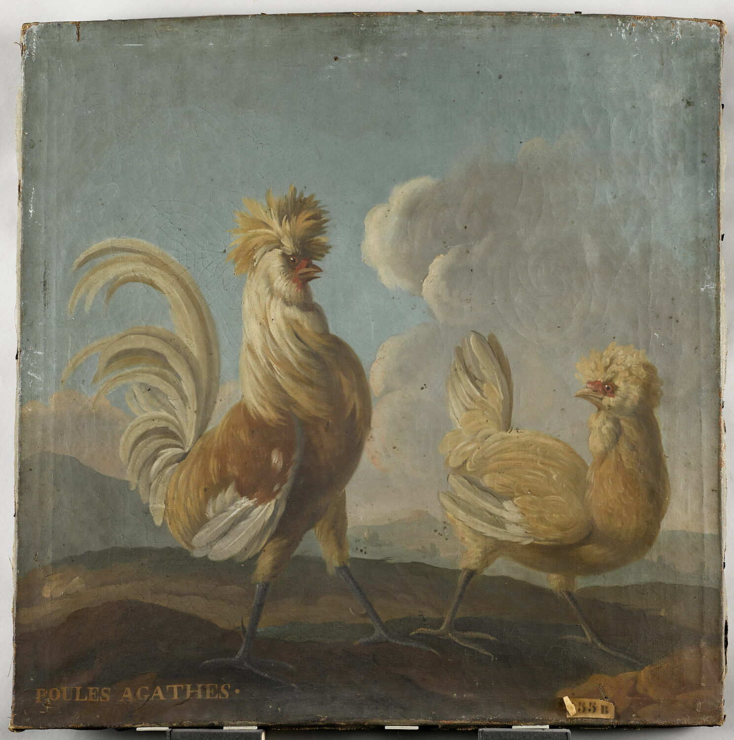 Poules agathes, Anonyme, XVIIe siècle (1600 - 1700)