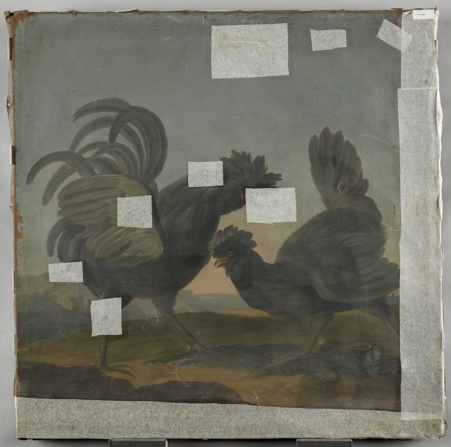 Poules ardoisées, Anonyme, XVIIe siècle (1600 - 1700)