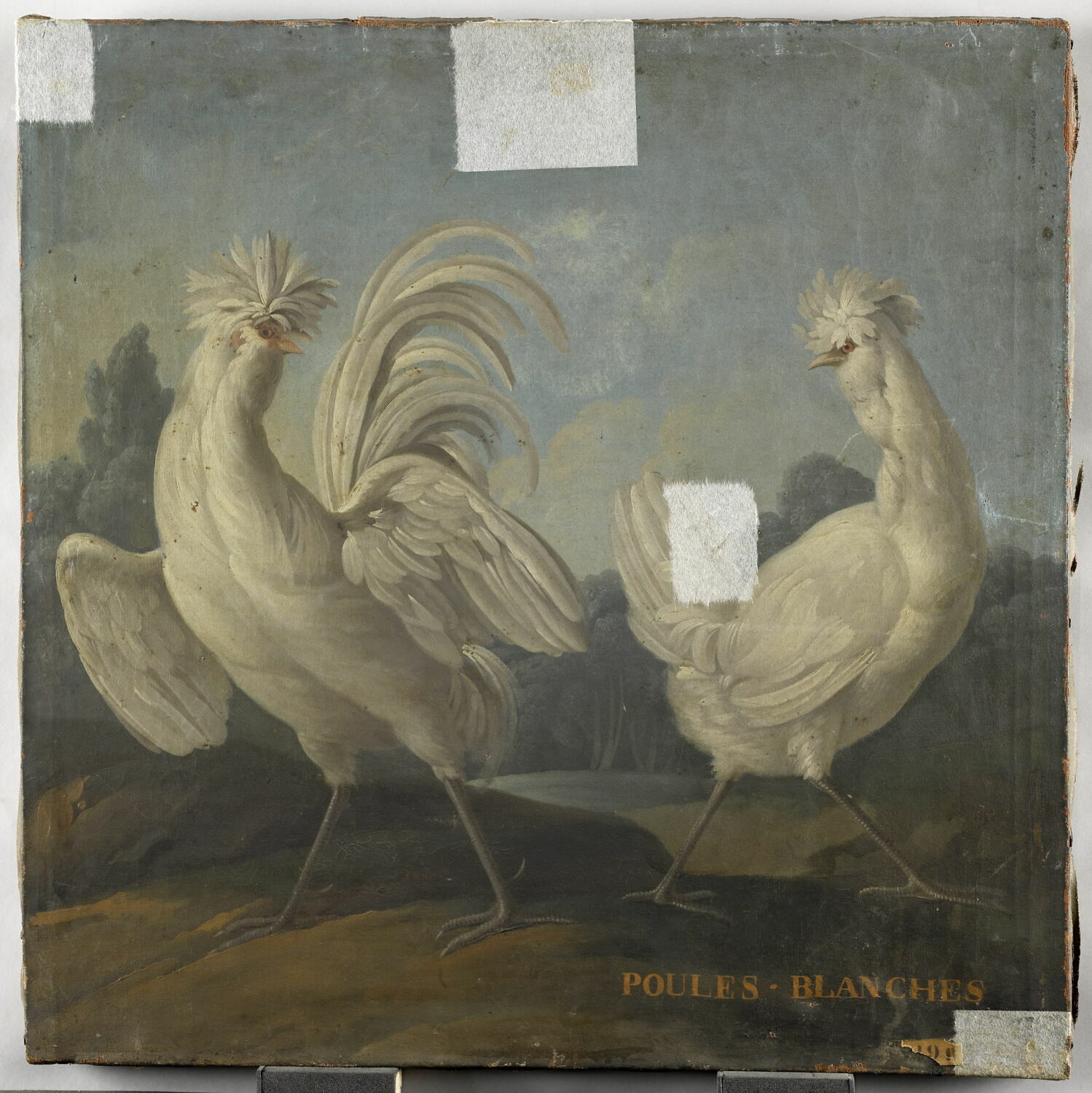 Poules blanches, Anonyme, XVIIe siècle (1600 - 1700)