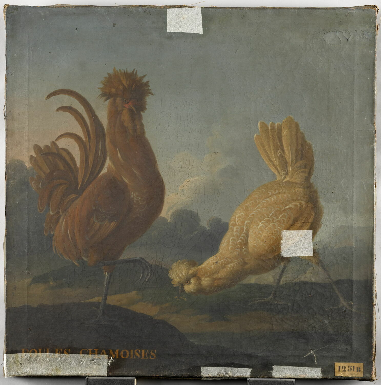 Poules chamoisés, Anonyme, XVIIe siècle (1600 - 1700)
