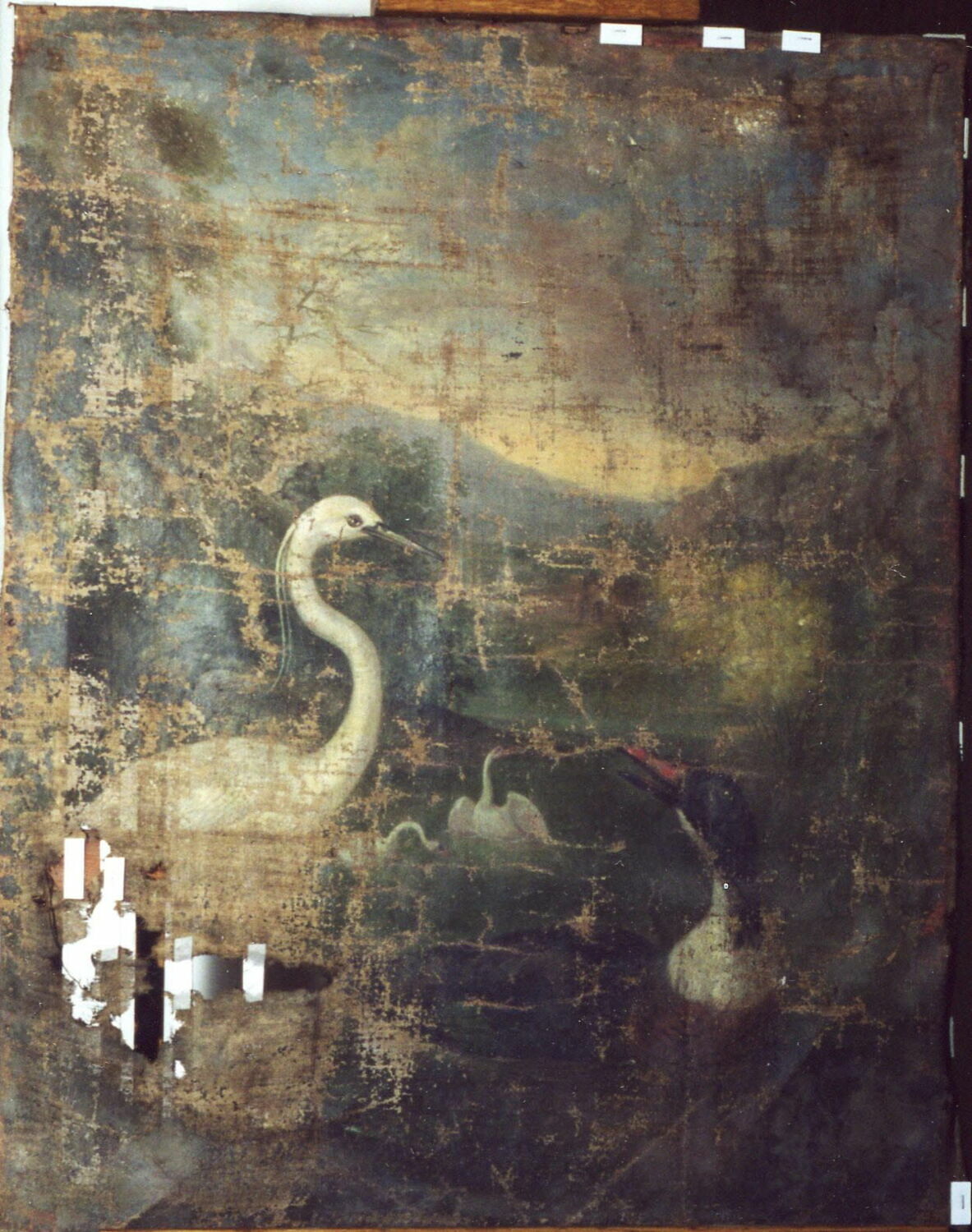 Aigrette et canard, Bernaerts, Nicasius, 3e quart du XVIIe siècle (1664 - 1668)