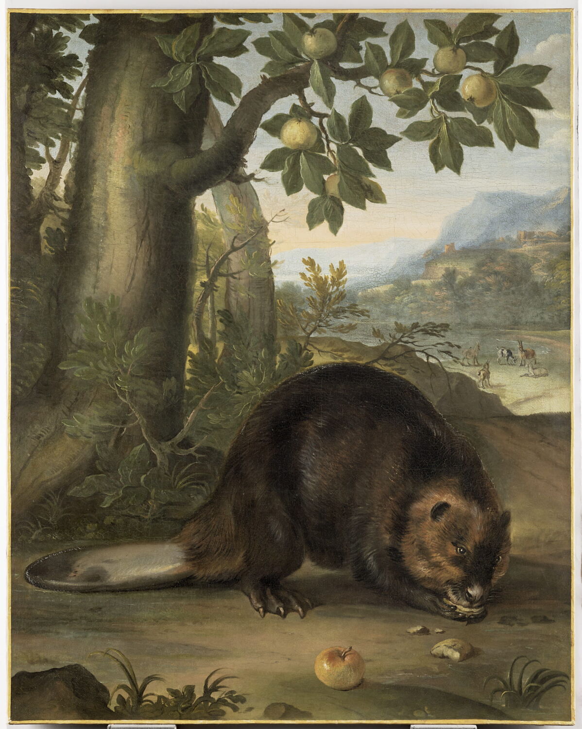 Castor, Bernaerts, Nicasius, XVIIe siècle (1600 - 1700)