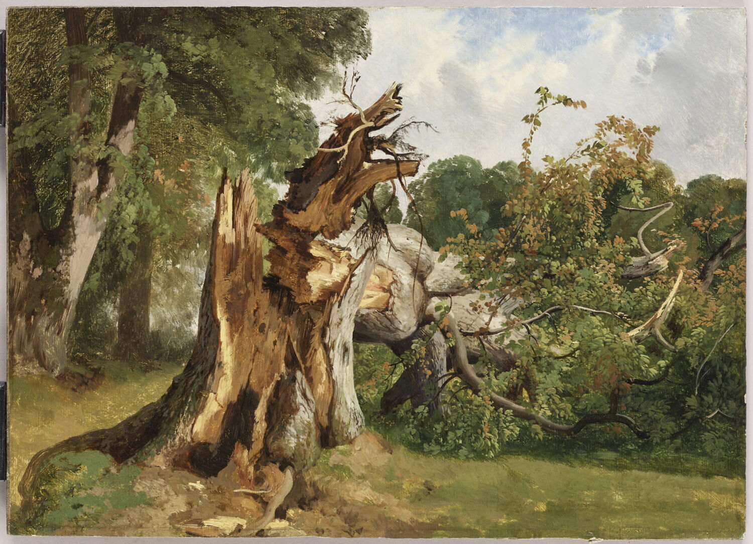 Arbre brisé au Kerket, près de Meyringen (Oberland bernoisd), Calame, Alexandre, XIXe siècle (1800 - 1900)