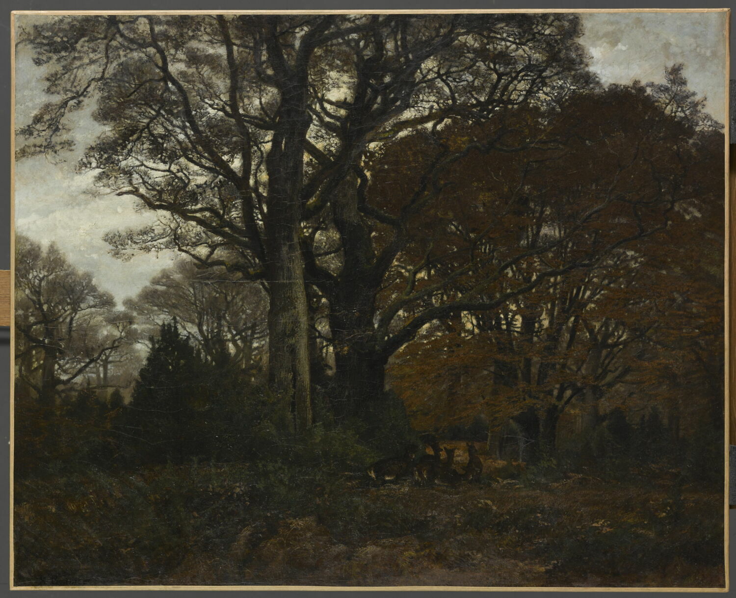 Intérieur de forêt, Bodmer, Karl, XIXe siècle (1800 - 1900)
