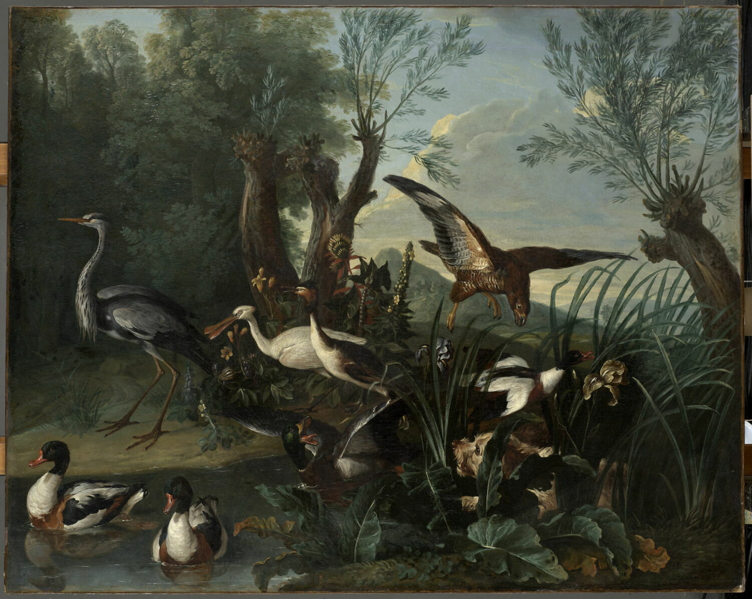 Oiseaux dans un paysage, Desportes, Alexandre-François, 1e tiers du XVIIIe siècle (1700 - 1735)