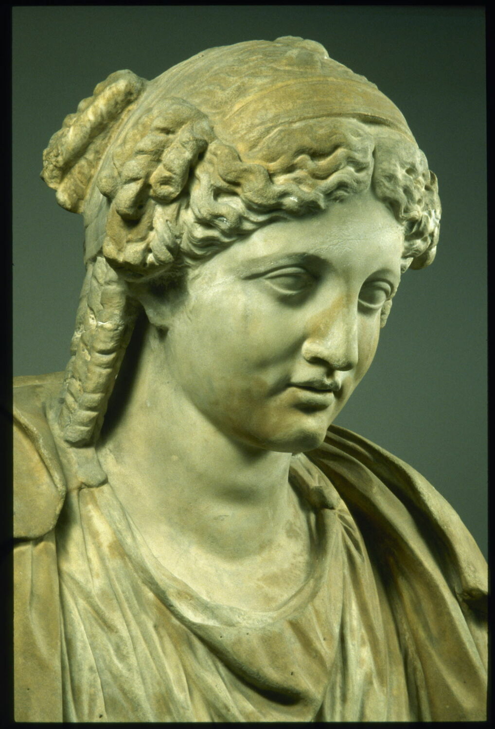 Bérénice Louvre Collections